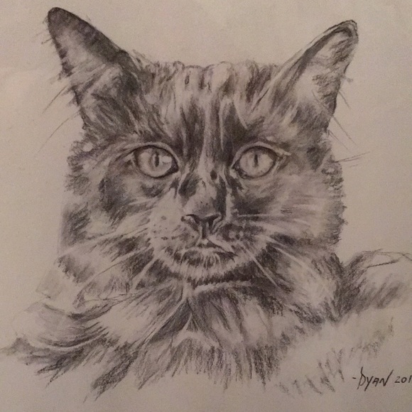 Meet your Posher, Dyan - Picture 7 of 11